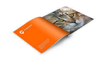 酷客美地企業形象設計 塑造品牌靈魂，引領市場潮流